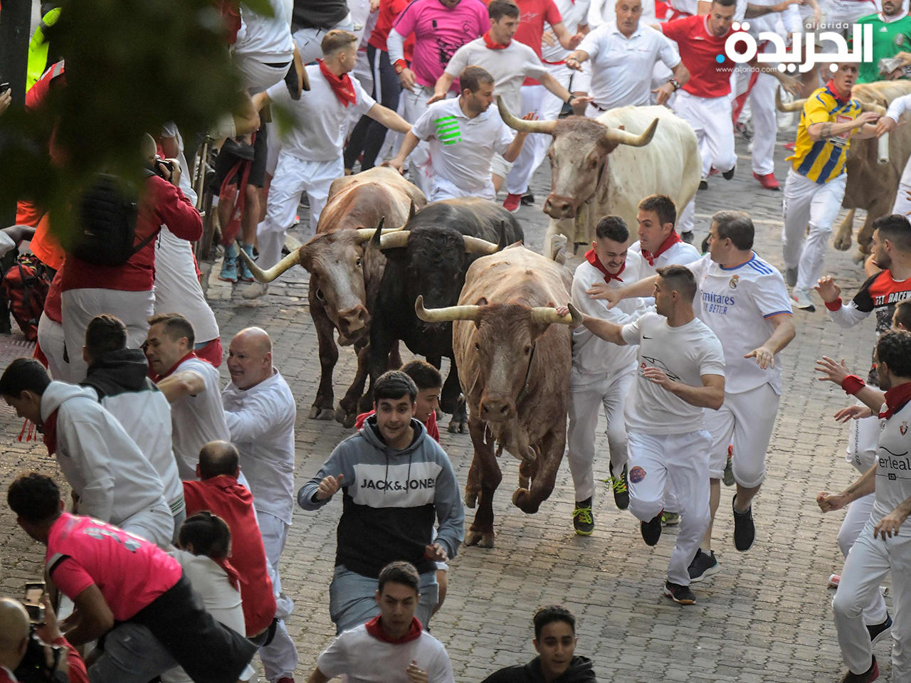 جانب من الفعاليات