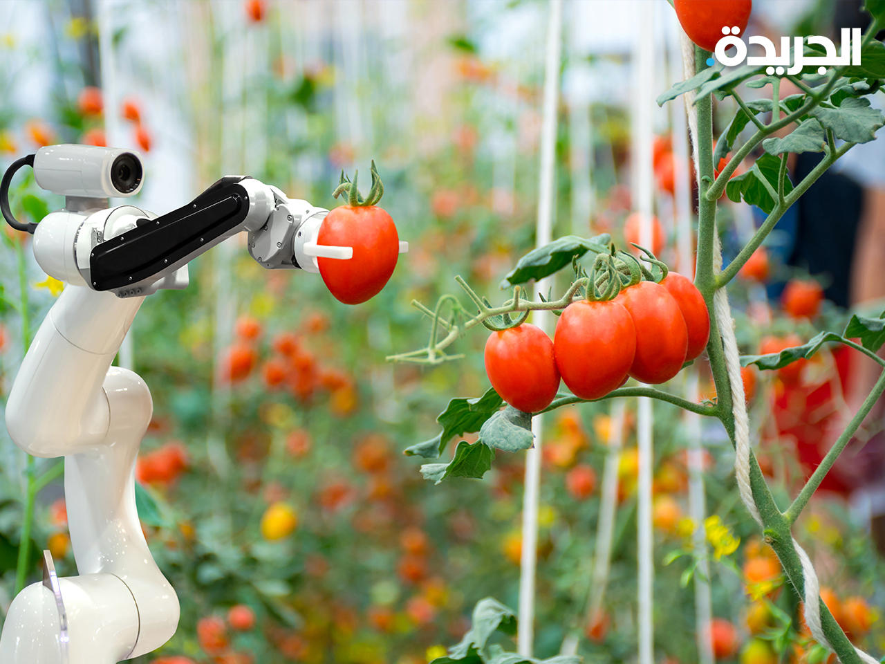 الروبوتات تدخل عالم الزراعة