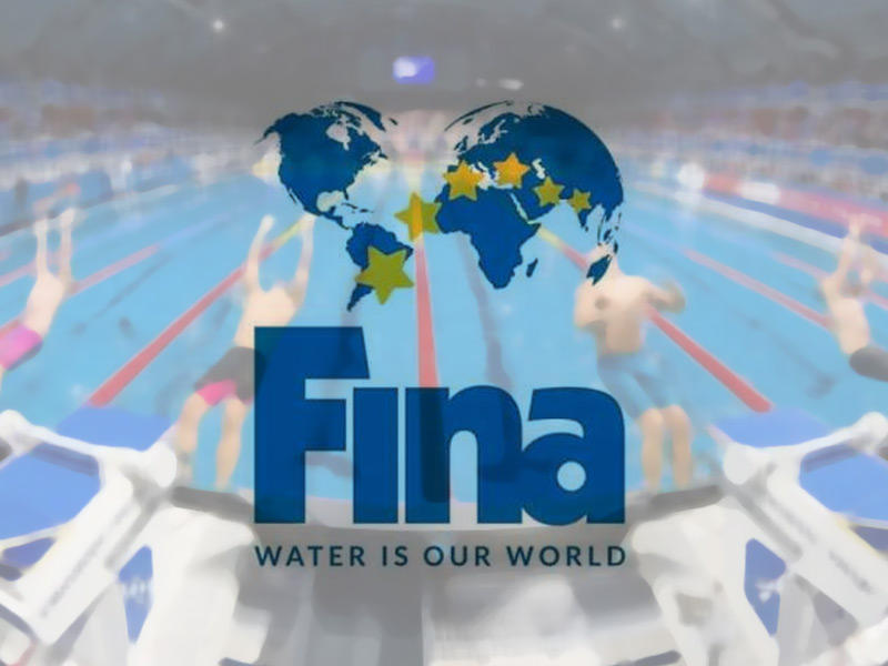 الاتحاد الدولي للسباحة فينا