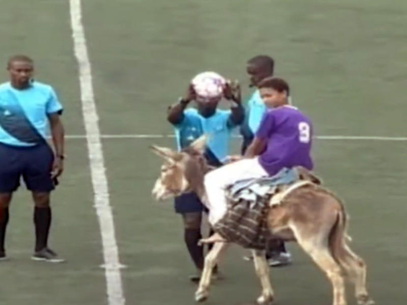 شخص يدخل الملعب على ظهر الحمار لتسليم الحكم كرة نهائي كأس دولة إفريقية