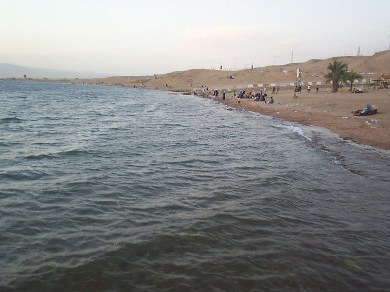 خليج العقبة