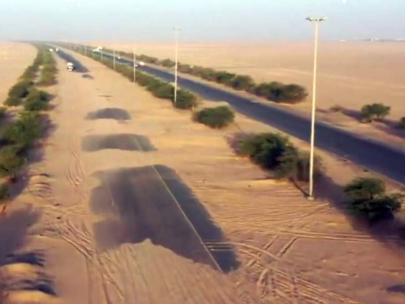 «السافي» على طريق السالمي