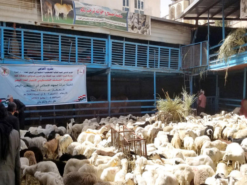 الاضاحي التي تم توزيعها من قبل جمعية الشيخ عبدالله النوري الخيرية