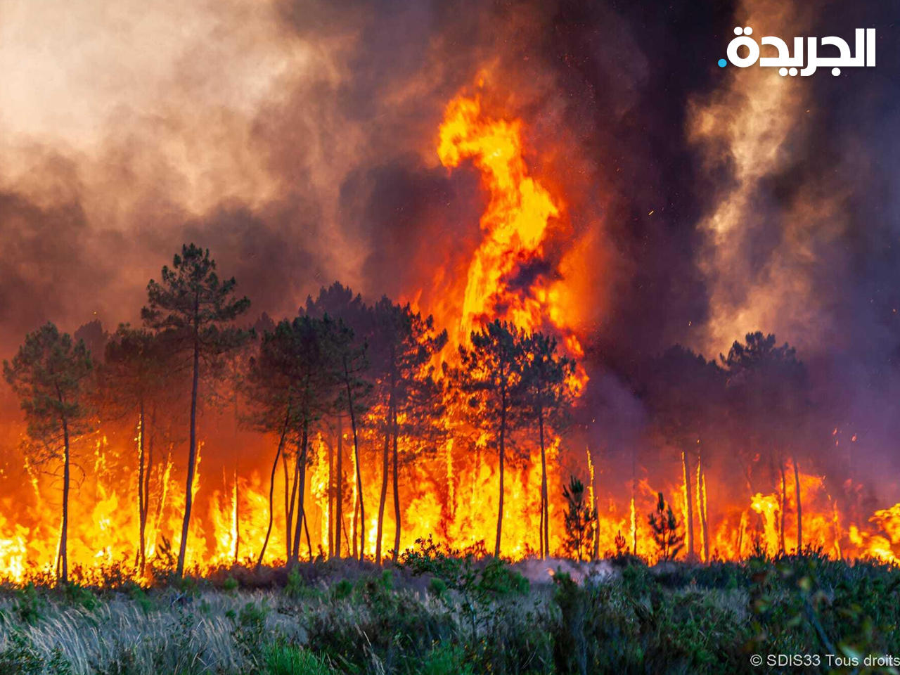 حرائق الغابات في اسبانيا