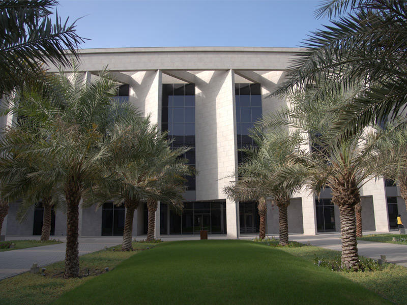 الجامعة الأميركية الدولية