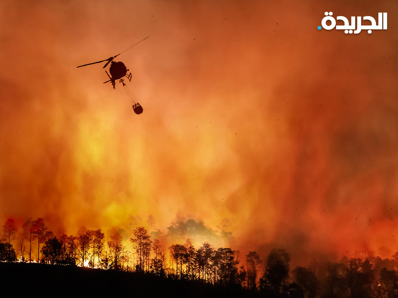 مكافحة حرائق غابات - أرشيف