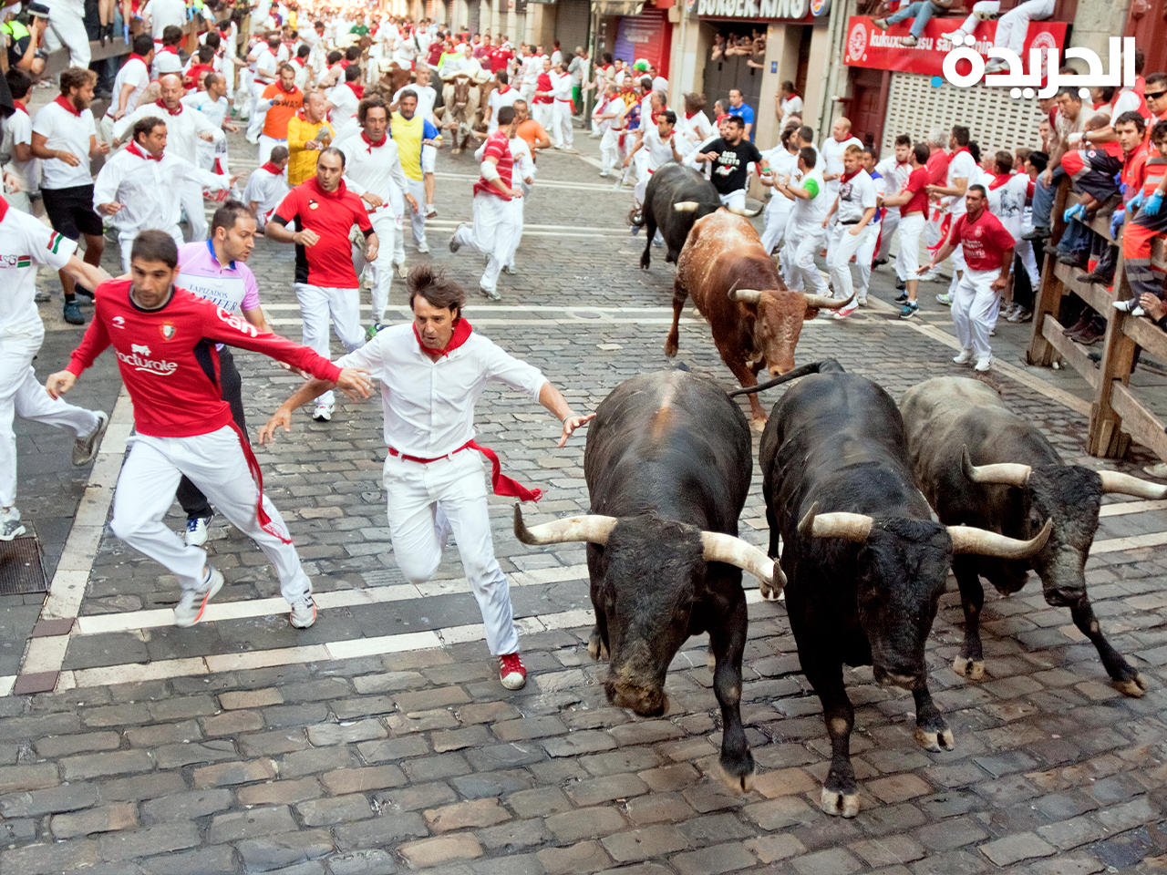 جانب من إحدى الفعاليات - أرشيف