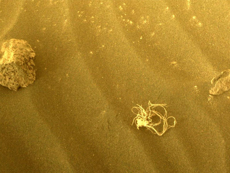 أثار الجسم المتشابك التي تم رصده على المريخ 