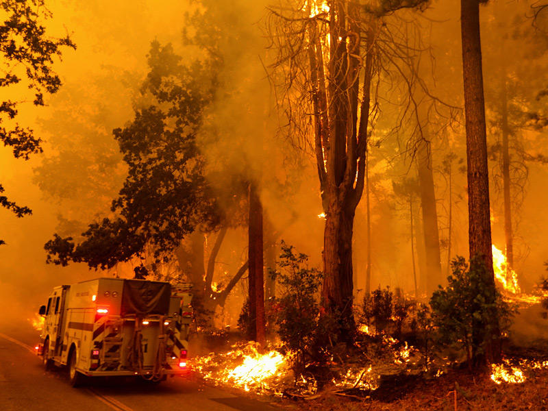 عربة إطفاء وسط غابة تلتهمها النيران في كاليفورنيا (رويترز)