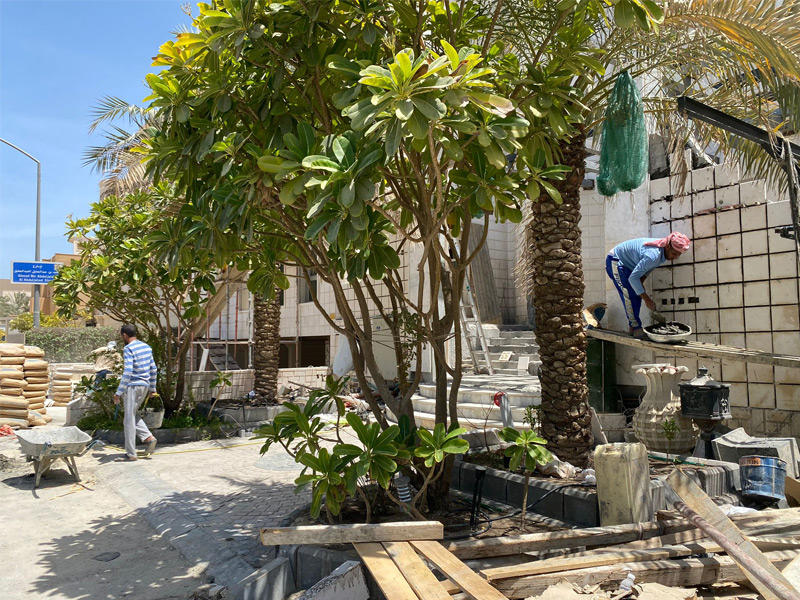 عمالة تحت أشعة الشمس خلال سريان قرار «حظر عمل الظهيرة»