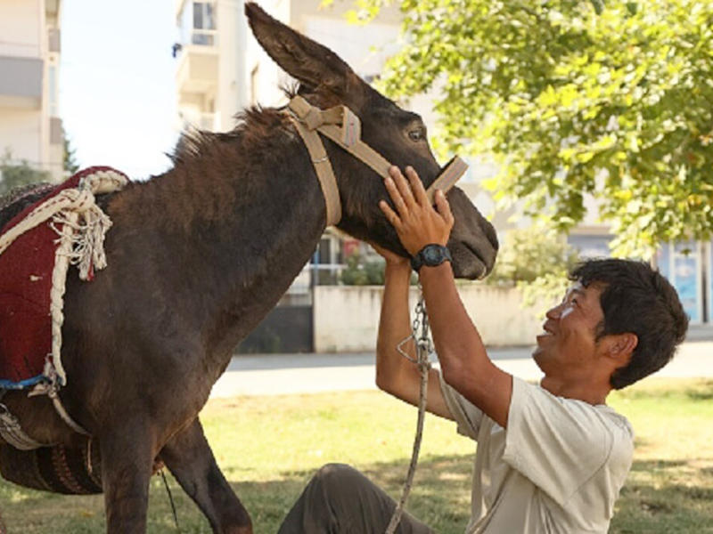 الياباني مع حماره الذي جال به تركيا