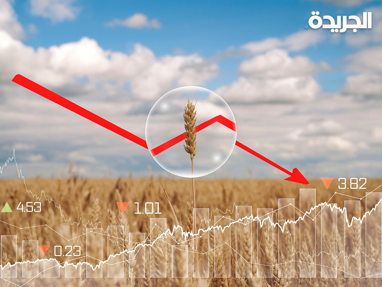 الرئيس الأوكراني يتوقع انخفاض إنتاج بلاده من الحبوب بسبب الحرب الروسية