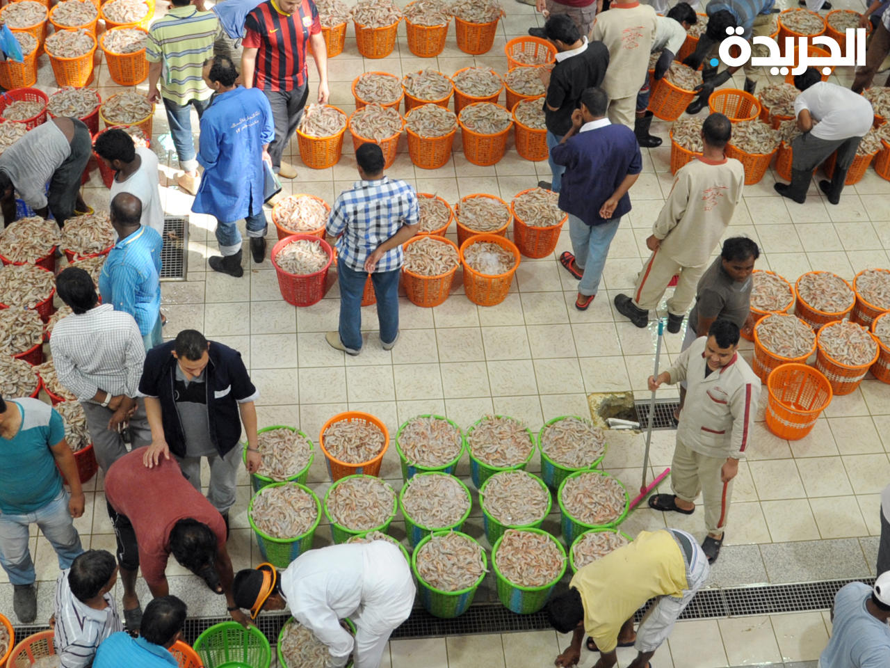 سلة الروبيان الكويتي بـ 65 ديناراً