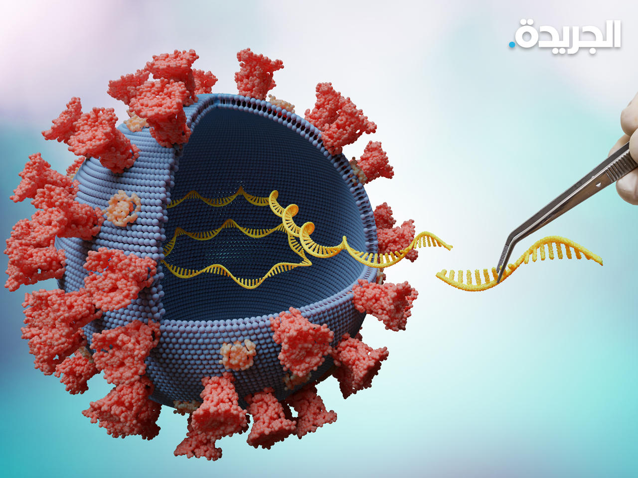 اكتشاف جينات تقلل مخاطر الوفاة بـ «كورونا» بنسبة 35%
