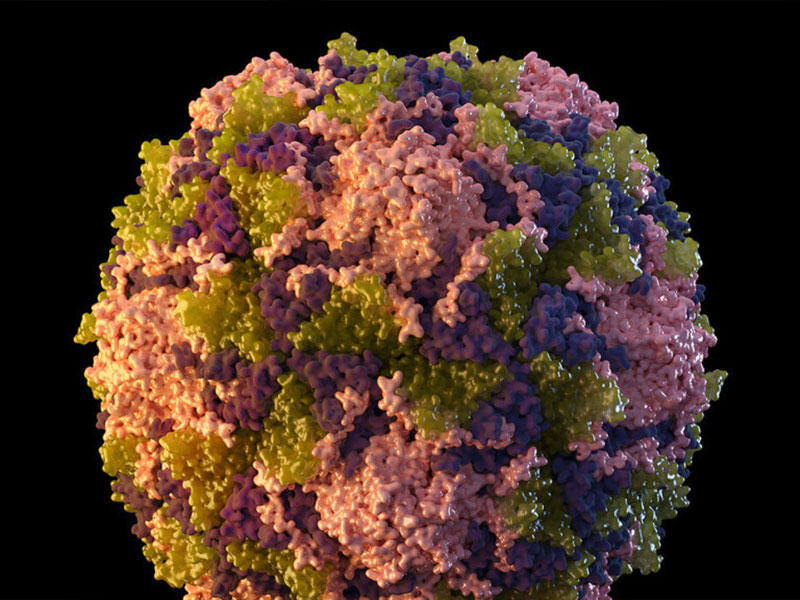 فيروس شلل الأطفال في «الصرف الصحي»