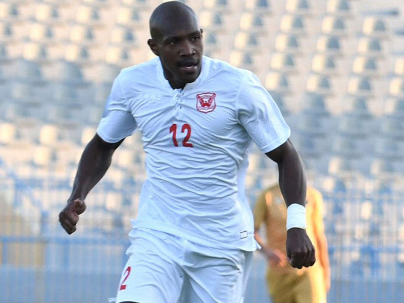 محترف البرازيلي لكرة القدم لويس فرناندو