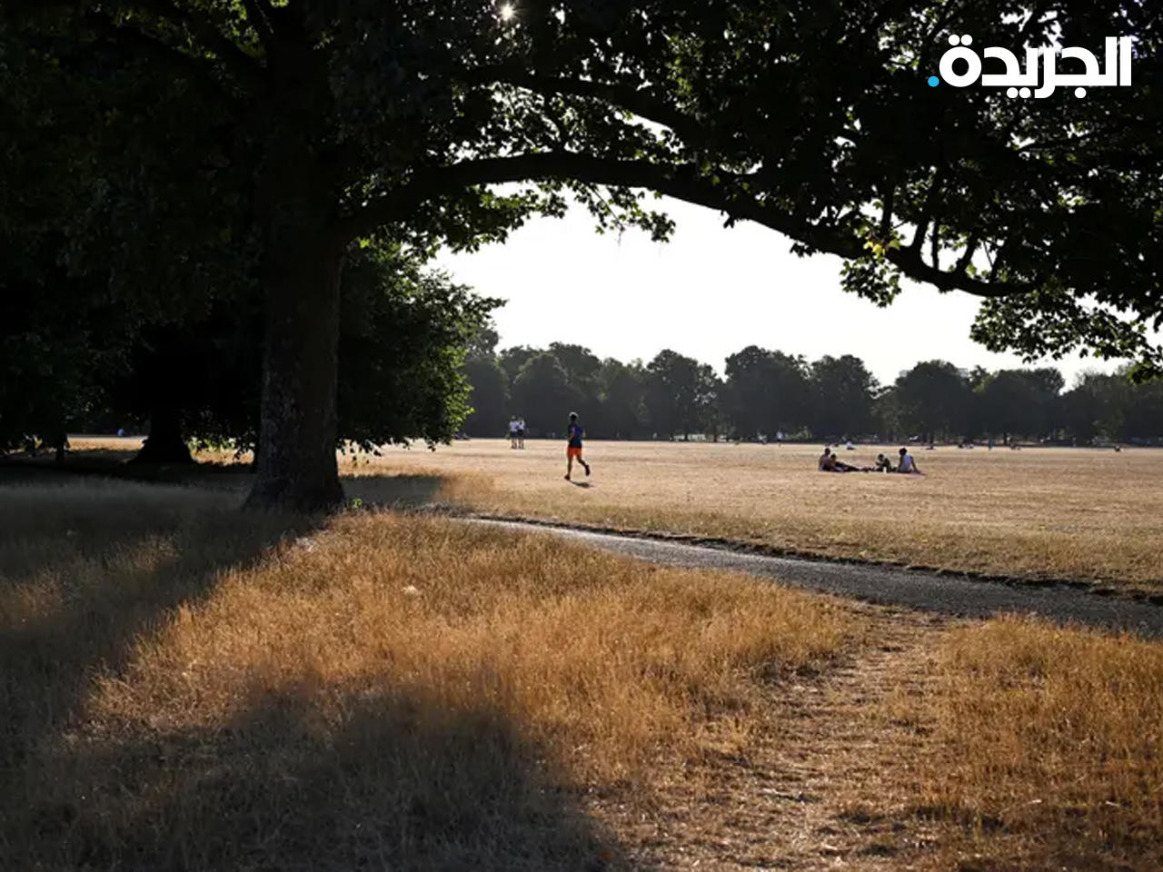 الجفاف يضرب أحد حدائق لندن