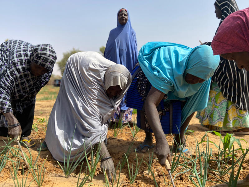 مزارعين  تشاد