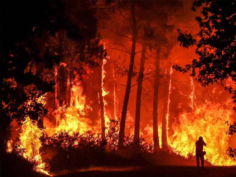 حريق غابات ضخما في منطقة لانديراس بالقرب من بوردو