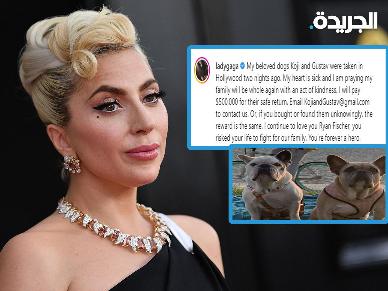 ليدي غاغا أعلنت عبر حسابها في إنستغرام عن مكافأة قدرها نصف مليون دولار لمن يتمكّن من إعادة كلبيها لها