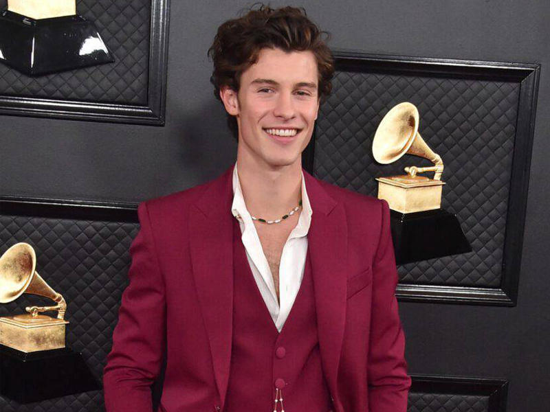  المغني ​شون مينديز​ 