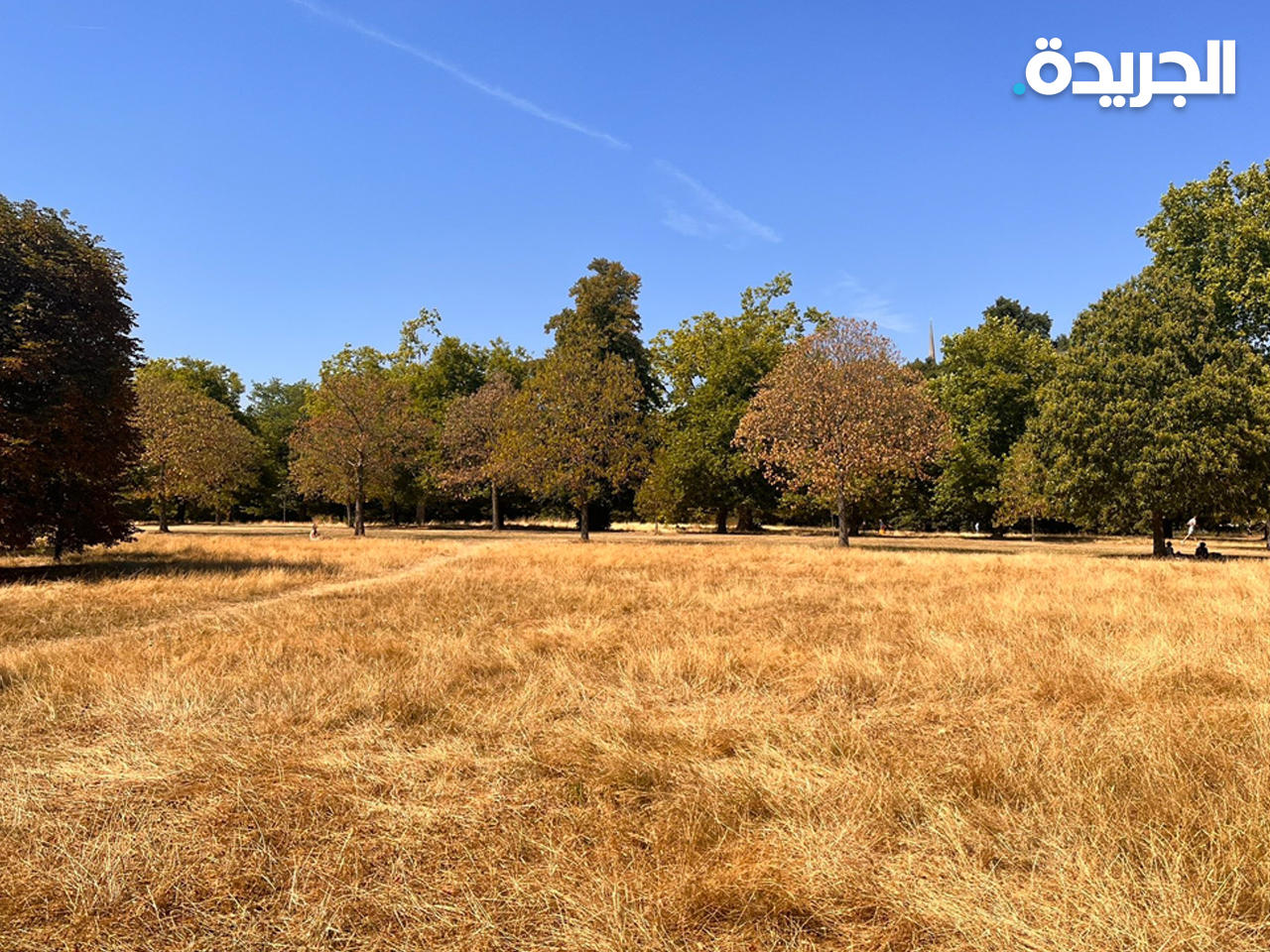 حديقة «هايد بارك» صحراء.. ونهر«سافوريوز» بلا مياه