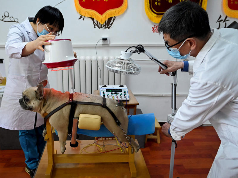 جلسة علاجية