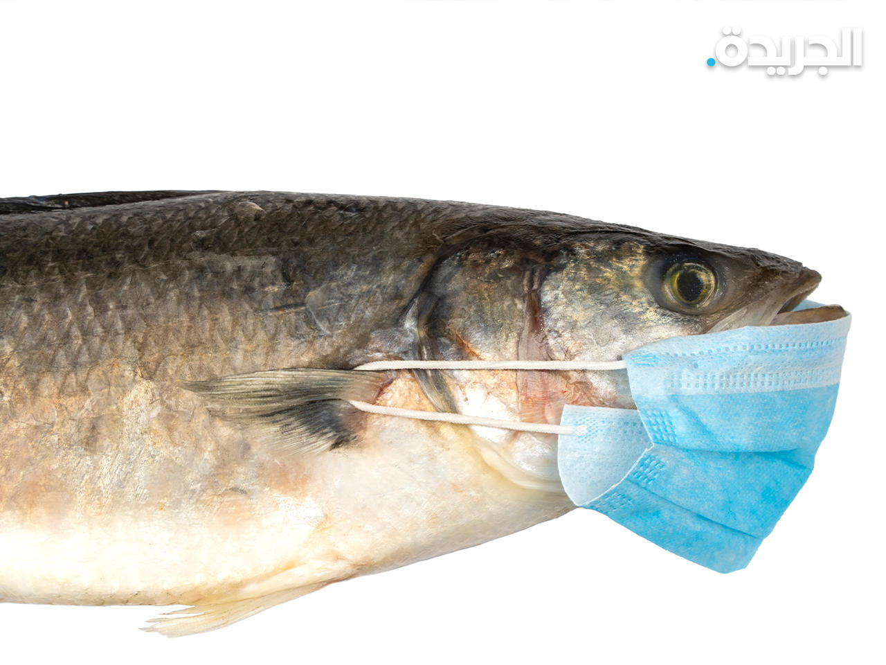 السياسات الصينية لاحتواء فيروس كورونا هي الأكثر صرامة في العالم