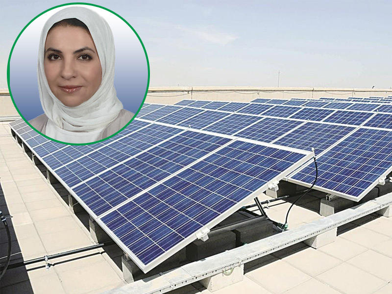  مديرة عامة هيئة مشروعات الشراكة بين القطاعين العام والخاص بالإنابة أسماء الموسى