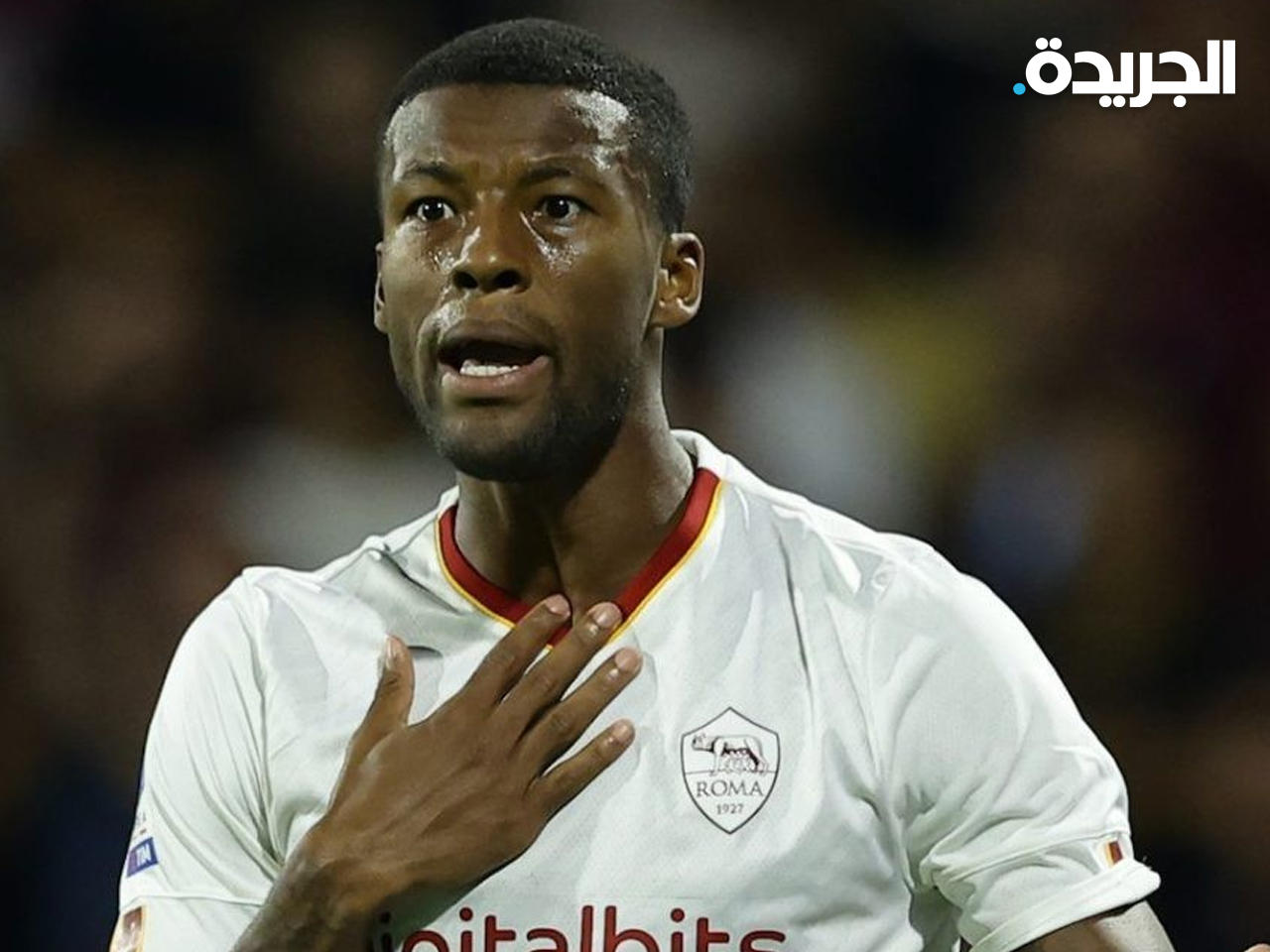 جورجينيو فينالدوم