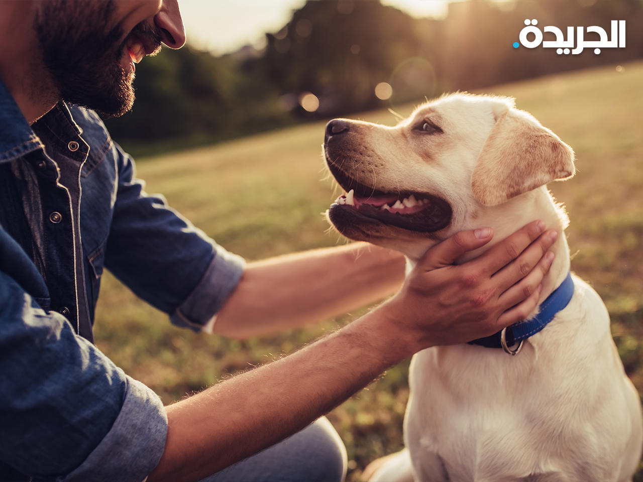 دراسة حديثة رصدت تأثر الكلاب عند اجتماعها مع أصحابها من البشر