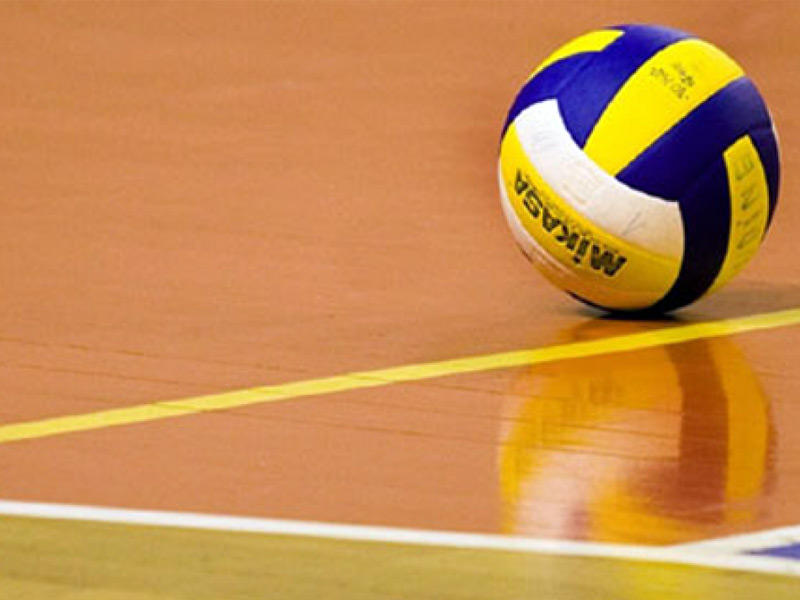 كرة الطائرة