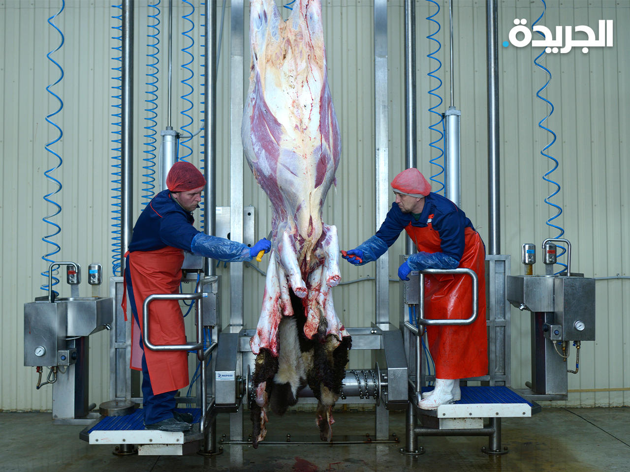 الحكومة الإسبانية تفرض على المسالخ تركيب أنظمة مراقبة لضمان عدم إساءة معاملة الحيوانات