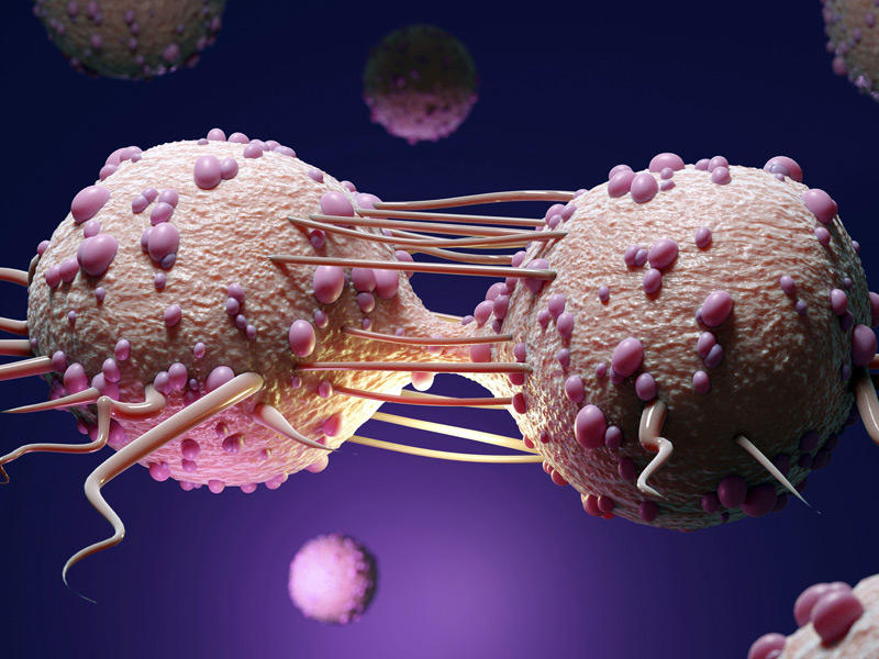 الأميركان يتحايلون على الموت