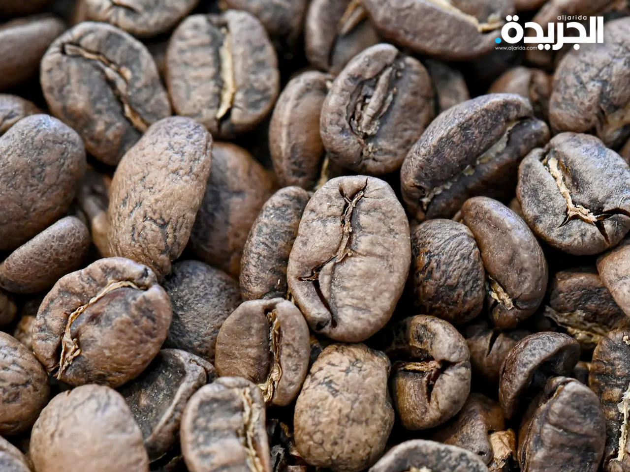 إم بي جو كولي أول وزير للقهوة ضمن حكومة بابوا غينيا الجديدة