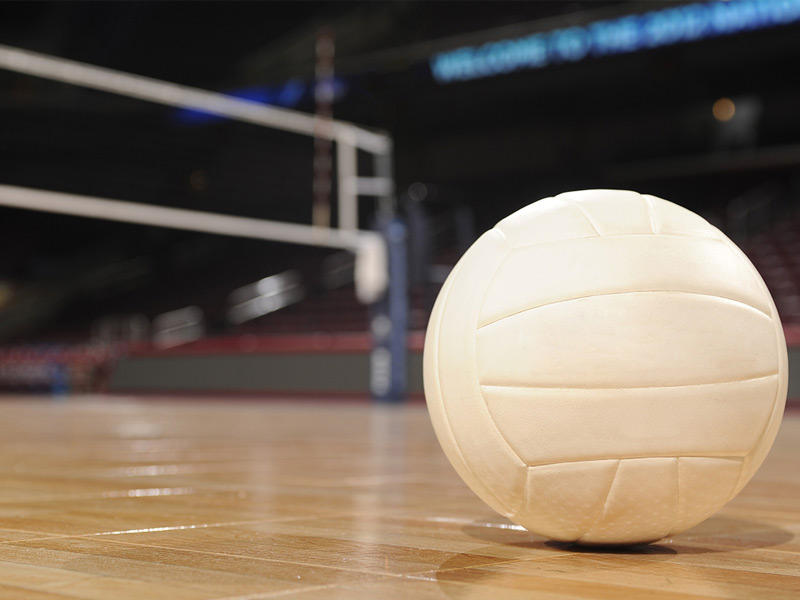 كرة الطائرة