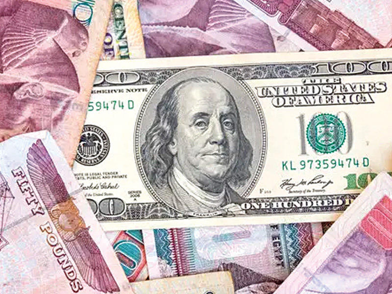 الجنيه المصري يحافظ على استقراره أمام الدولار
