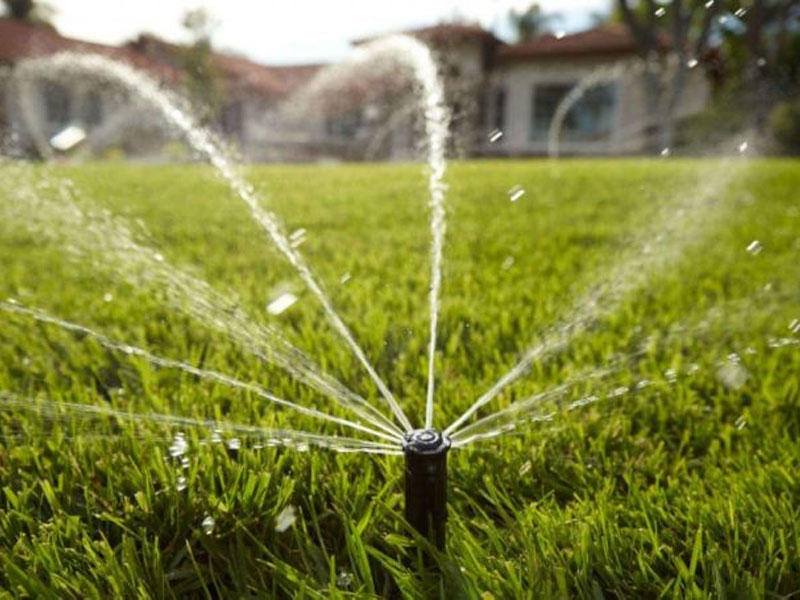 اليابان تروي محاصيلها بالفودكا