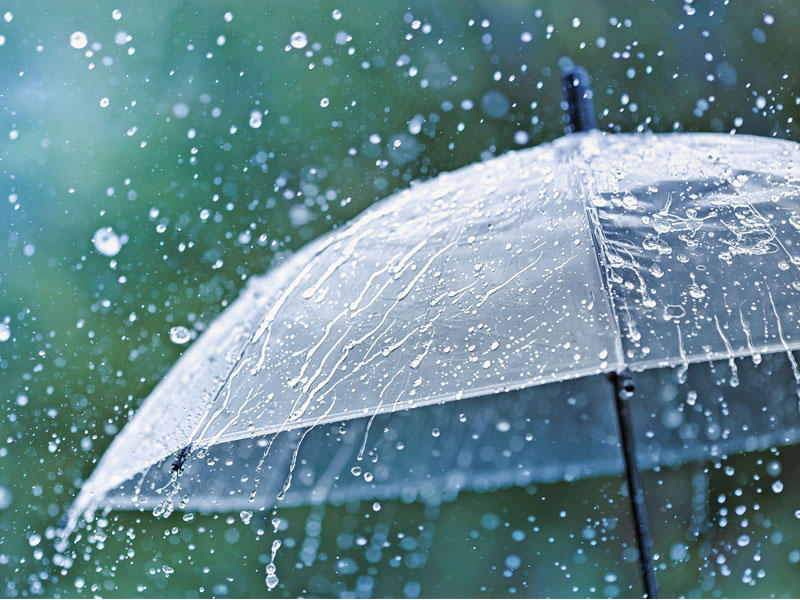 ماء السماء يفوح عطراً