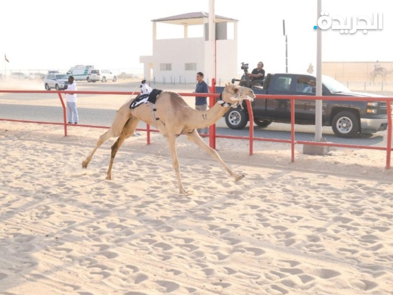 انطلاق منافسات الموسم الرياضي المحلي للنادي الكويتي لسباقات الهجن 