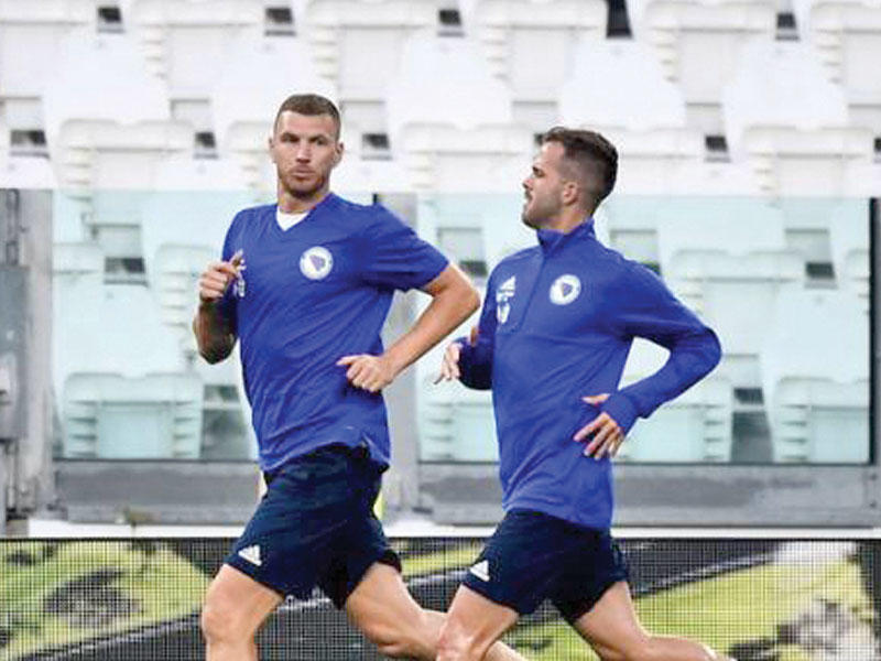 بيانيتش ودجيكوn