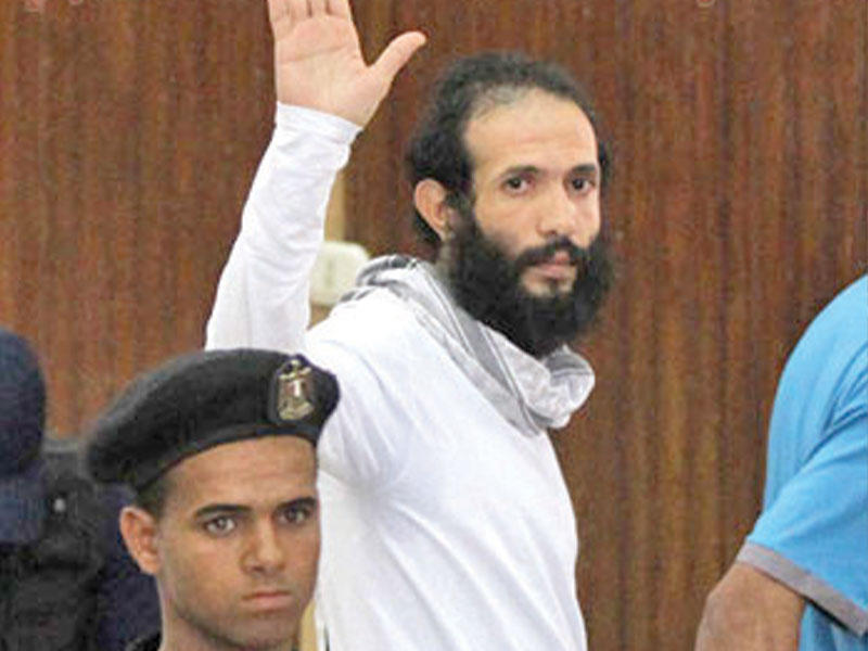 المحامي هيثم محمدين