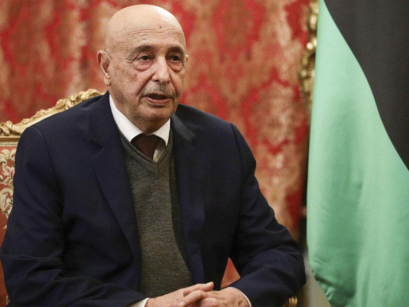  رئيس مجلس النواب عقيلة صالح طرح