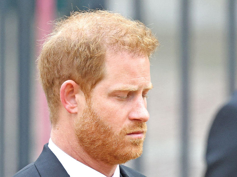 الأمير هاري