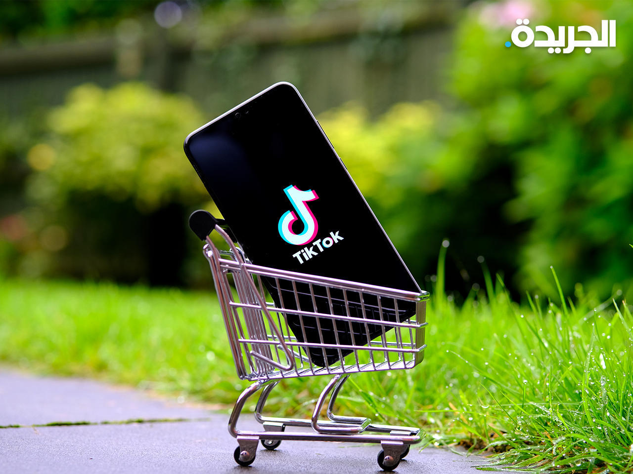 «تيك توك» تضيف خيار «لا يعجبني» إلى خيارات التعليقات