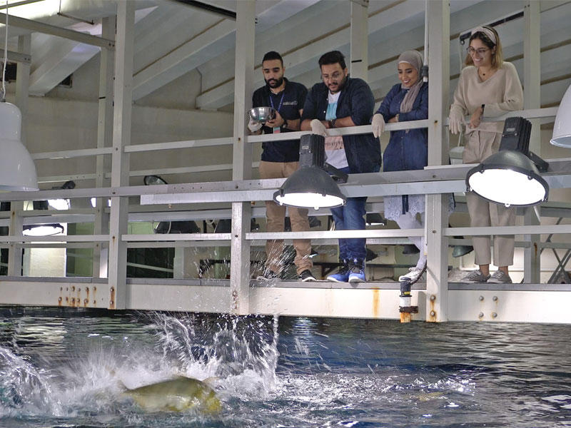 جانب من إحدى الجولات