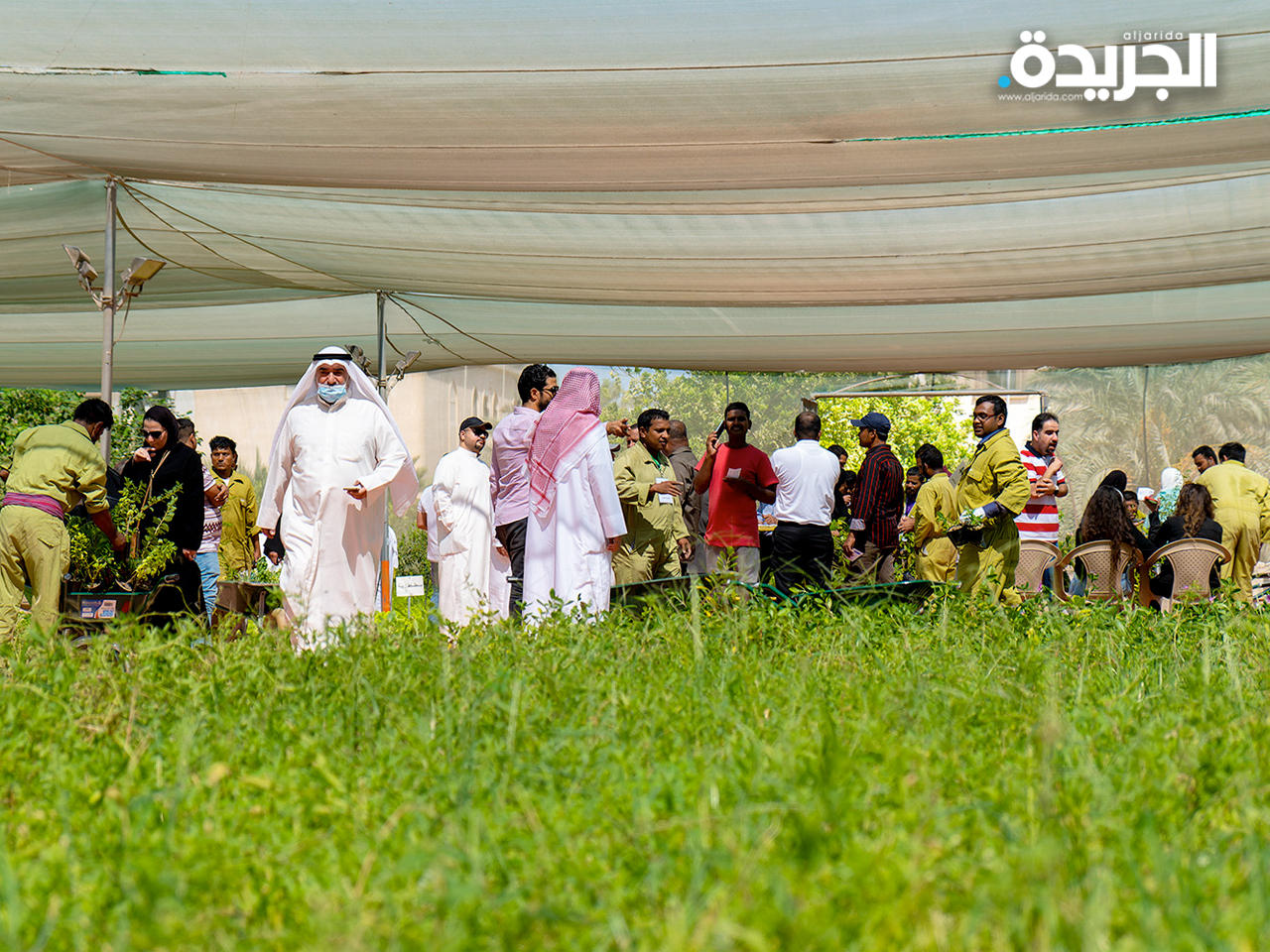 جانب من الحملة