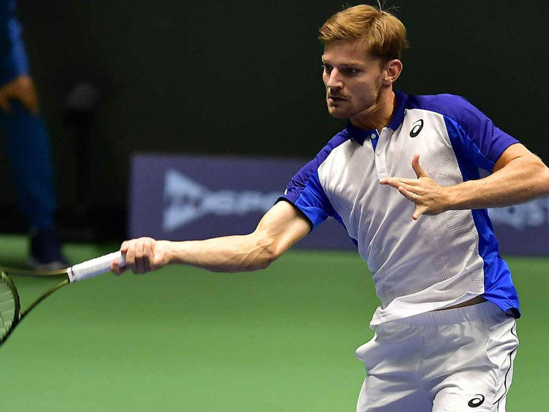  دافيد غوفان 