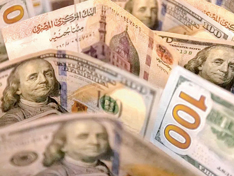 استقرار الجنيه المصري أمام الدولار