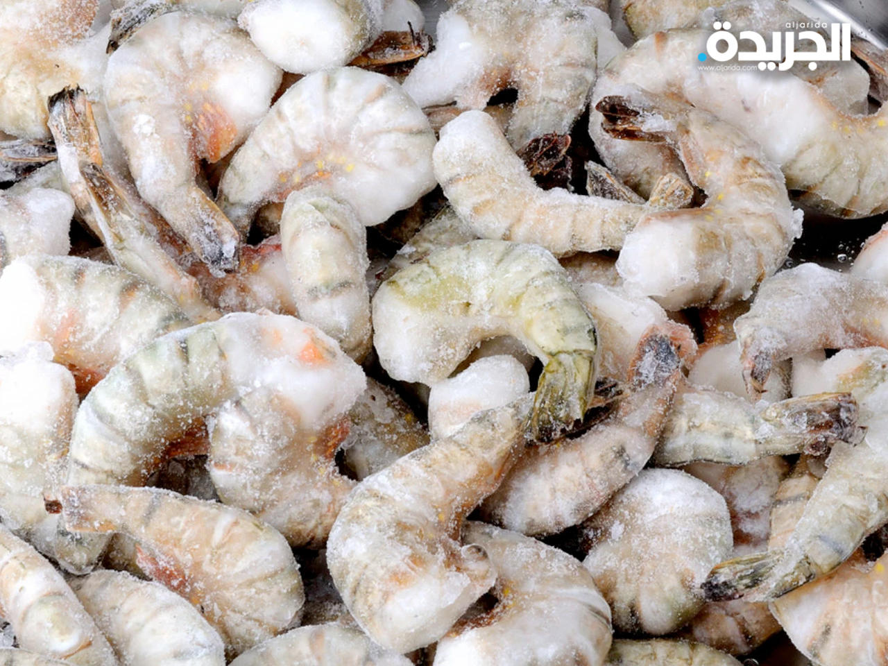 الروبيان الهندي